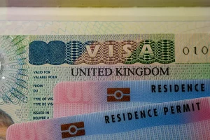 UK Innovator Visa - the process, features and options available