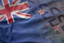Request introduction to a trusted New Zealand tax expert